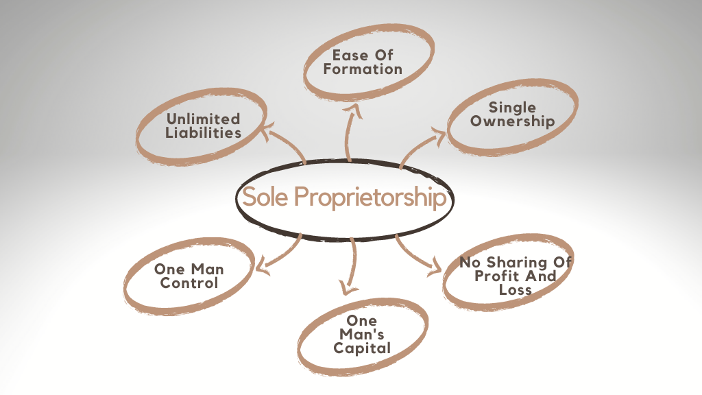 what is a sole proprietorship business